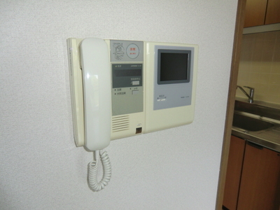 Other Equipment. It is safe for TV Intercom