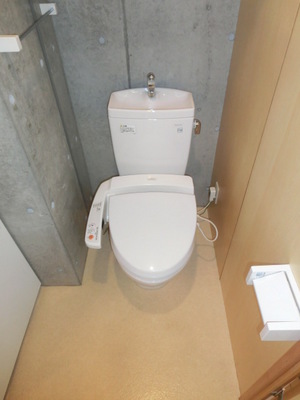 Toilet. Toilet