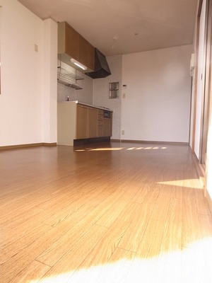 Living and room. Flooring shiny ☆