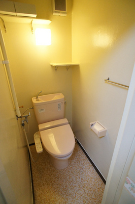 Toilet. It is with a bidet.