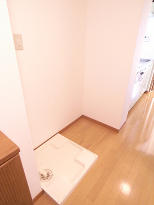 Washroom. It is indoor washing machine Storage ☆ 