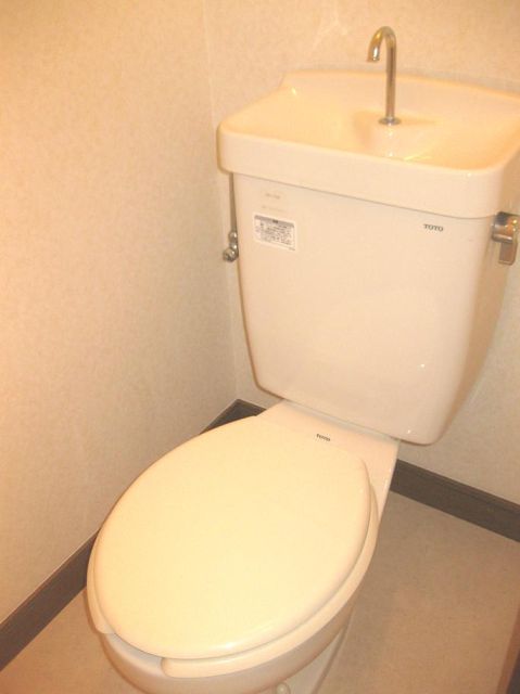 Toilet. Western-style toilet.