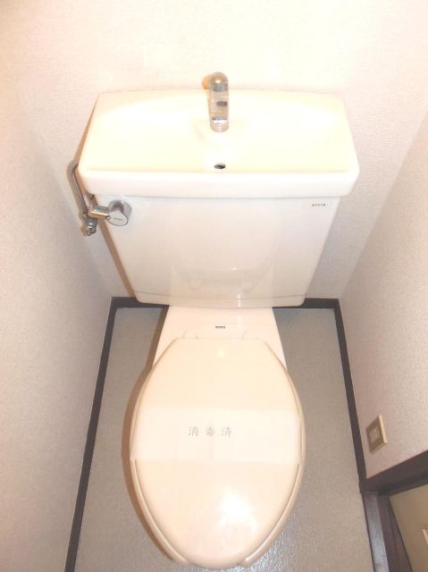 Toilet. Toilet