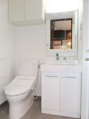 Washroom. Easy-to-use independent wash basin