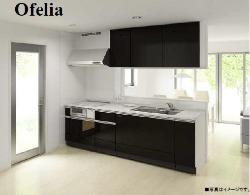 Other Equipment. To «SYSTEM KITCHEN "Ofelia" »stain-resistant vulnerable location uses a" high-quality enamel. ". In addition door are pleased to offer the rich colors to choose from 30 colors.