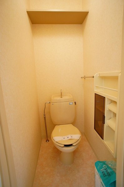 Toilet. It will be the renovation of photos before every other room