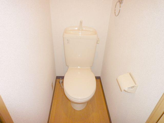 Toilet. Western-style toilet