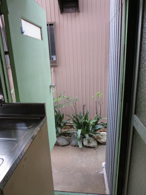 Kitchen. There back door to DK. It is useful, for example, out garbage.