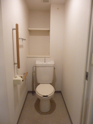 Toilet. There is a shelf in the back.