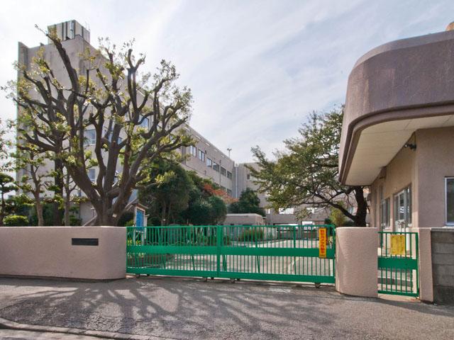 Primary school. Funabashi Municipal Narashinodai 428m until the second elementary school