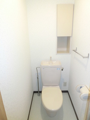 Toilet. Toilet with cleanliness