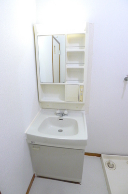 Washroom. Bathroom vanity