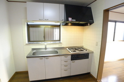 Kitchen. System K (gas three-necked)