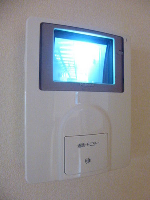 Security. TV monitor with intercom