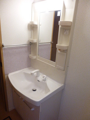 Washroom. Shampoo dresser