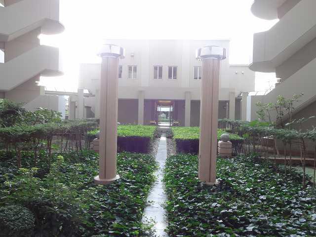 Other local. Local (11 May 2013) Shooting