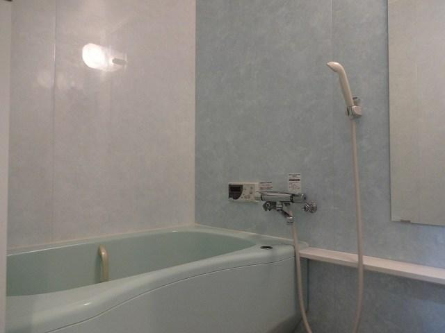 Bathroom. Indoor (11 May 2013) Shooting