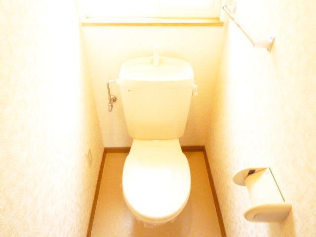 Toilet. Western-style toilet