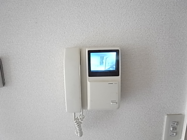 Security. The confirmation of visitors in TV Intercom