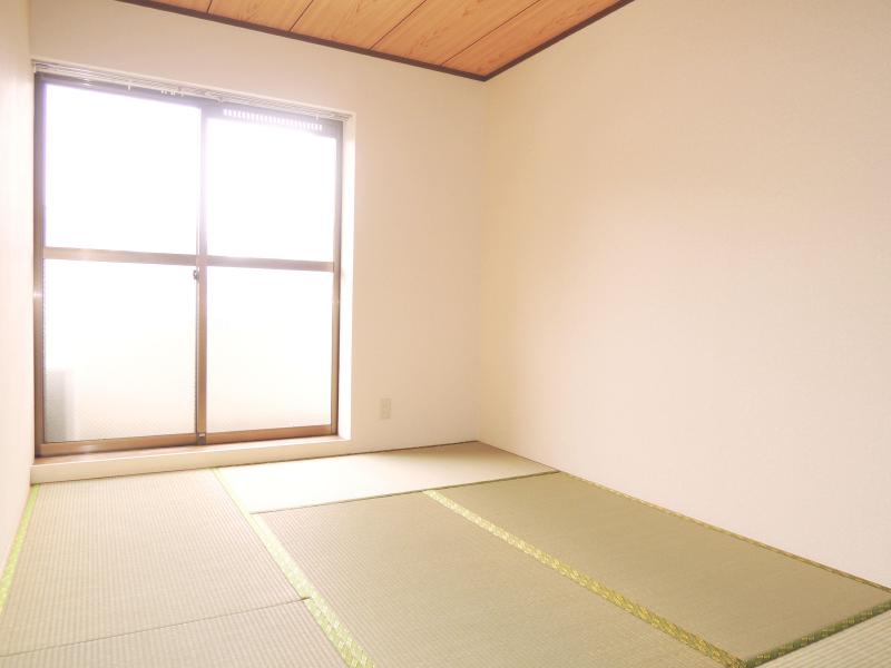 Other room space. It is a Japanese-style room perfect for the bedroom.