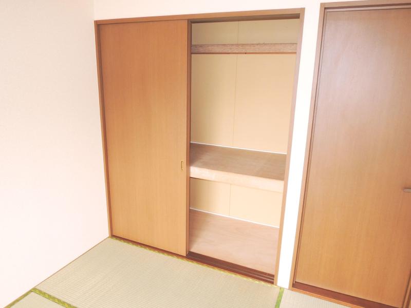 Other. It is a large storage rooms in the Japanese-style room.