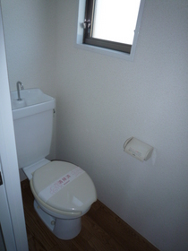 Toilet. Bright WC there is a window