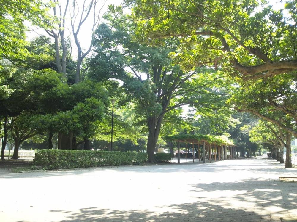 park. Yakuendai 800m green rich Yakuendai park to the park Since the parking lot there is also toilet, You can play with confidence.