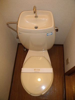 Toilet. Toilet