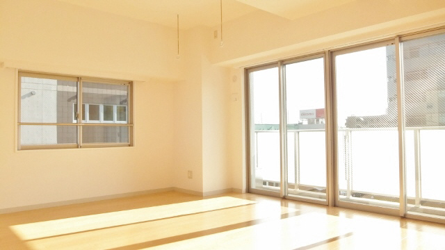 Living and room. Spacious room ☆