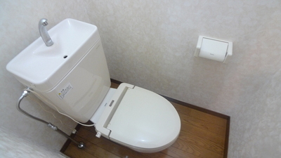 Toilet. Toilet