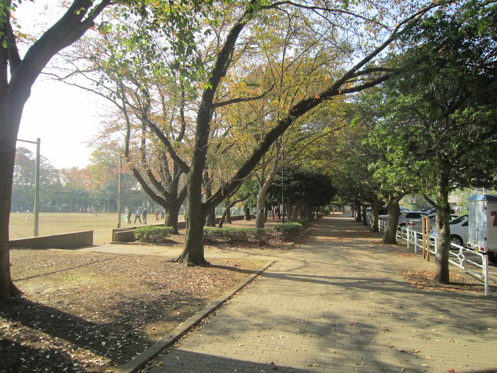 Other. Previous Yakuendai park of the eye