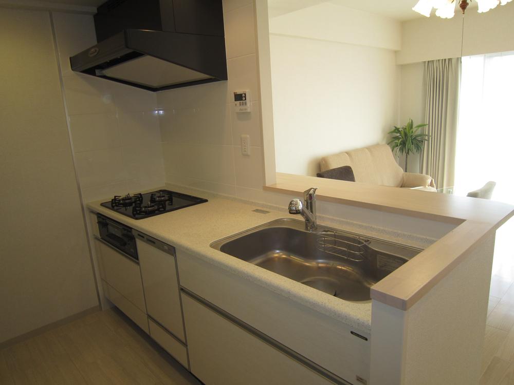 Kitchen. Indoor (11 May 2013) Shooting