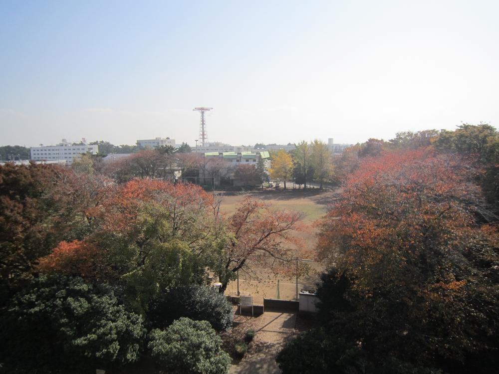 Other. Is the view from the balcony.