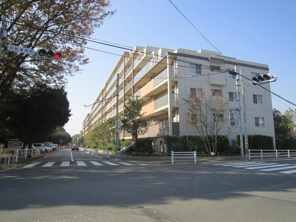 Local appearance photo. Local (11 May 2013) Shooting