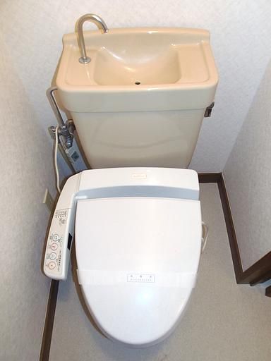 Toilet. Western-style toilet.