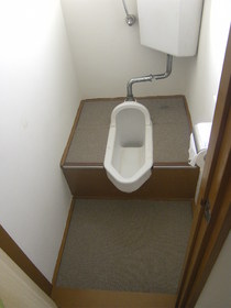 Toilet. Toilet situation.