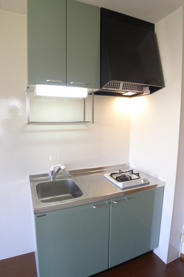 Kitchen. Kitchen (gas 1-neck)