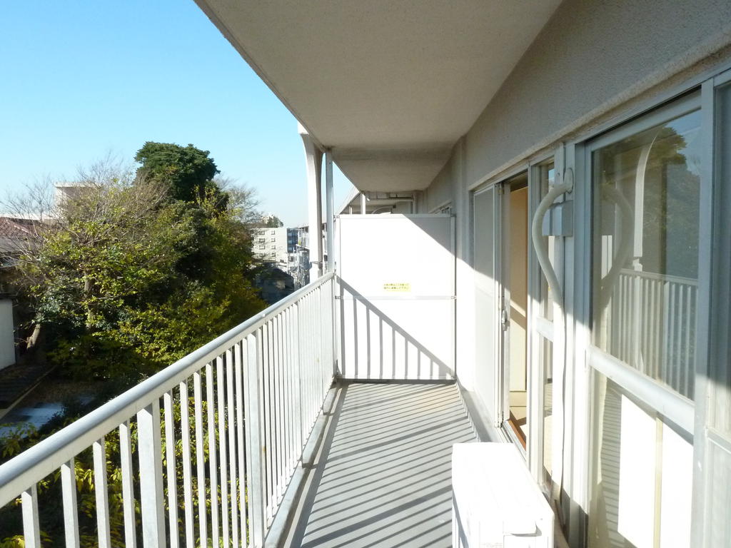 Balcony. Balcony in the sun will delight even your washing products.