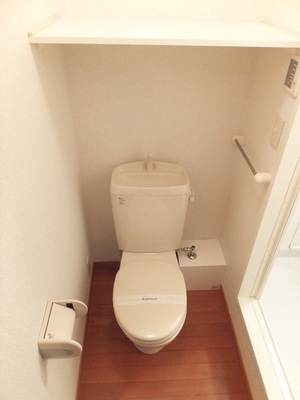 Toilet. There is warm water washing toilet seat