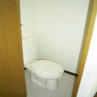 Toilet. Spacious toilet space.