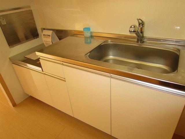 Kitchen. It is widely and easy to use clean kitchen. 