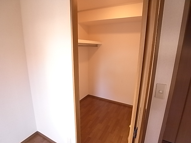 Other room space. Longing and it is a walk-in closet. 