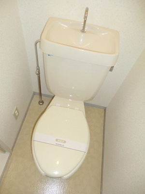 Toilet. Toilet