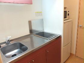 Kitchen. It is made of spread two-burner electric stove range fridge