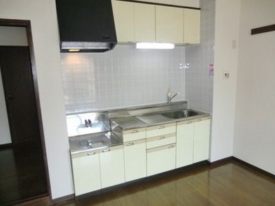 Kitchen. Two-burner gas stove installation Allowed