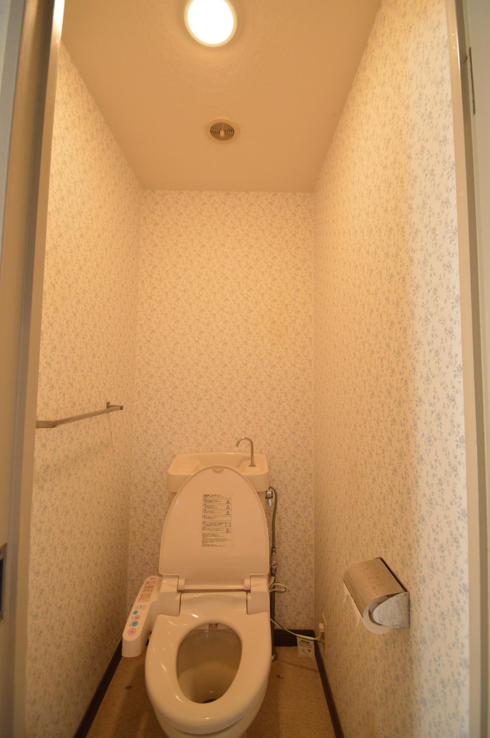 Toilet. Although you can use as it is only in the cleaning, It will change the atmosphere just to exchange the metal fittings of the wall with. You may want to exchange to, if your budget some customers tankless.