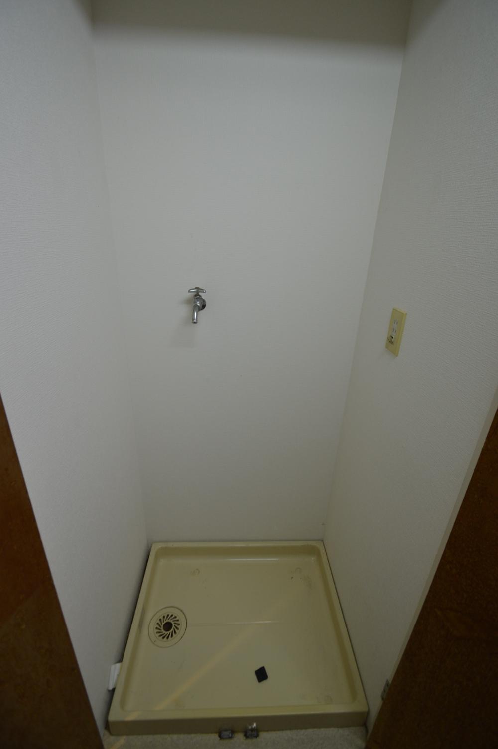 Other. It is indoor washing machine Storage. It is very refreshing if relocated to the vanity before.