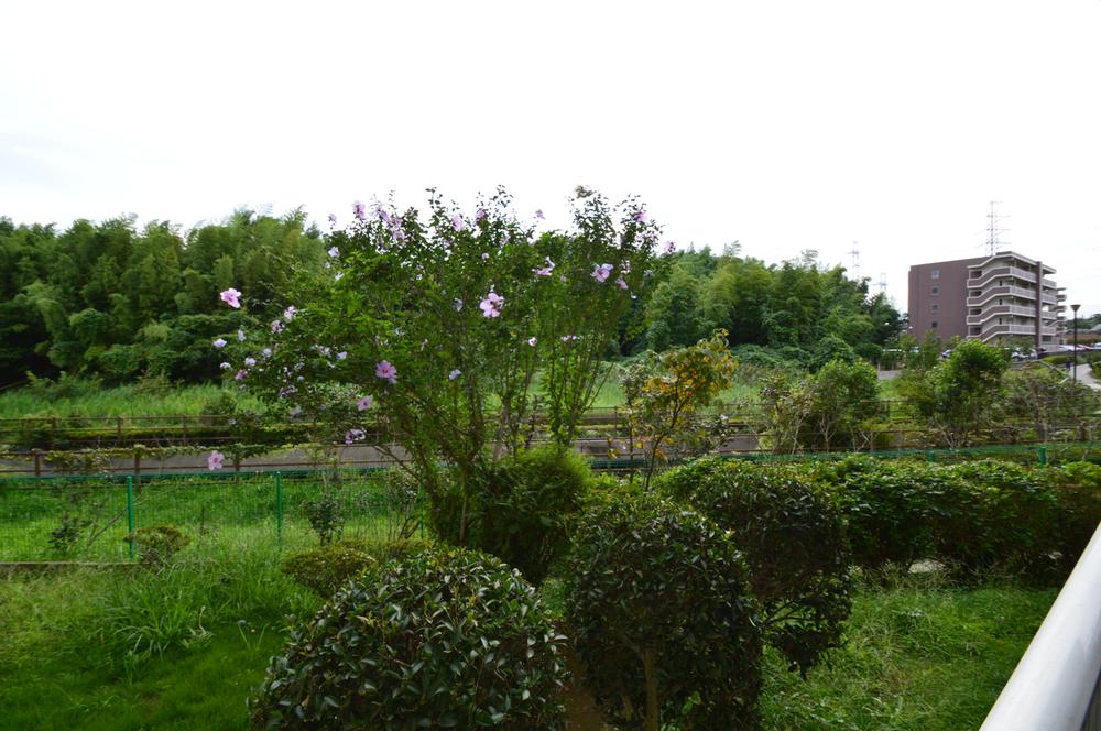 View photos from the dwelling unit. View from local (September shooting)