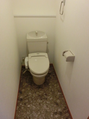 Toilet. Toilet