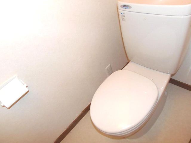 Toilet. It is a Western-style toilet.